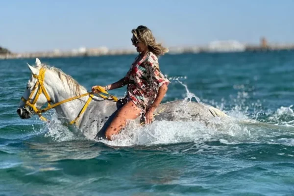 Horse & Camel Riding Experience