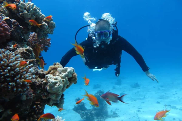 Diving Course – Beginner / Intro Dive